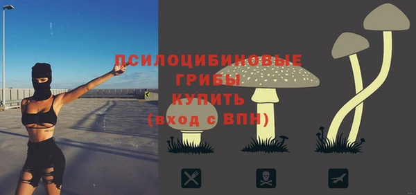 крисы Алексеевка