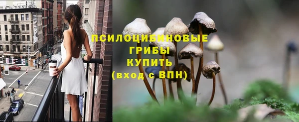МДПВ Гатчина