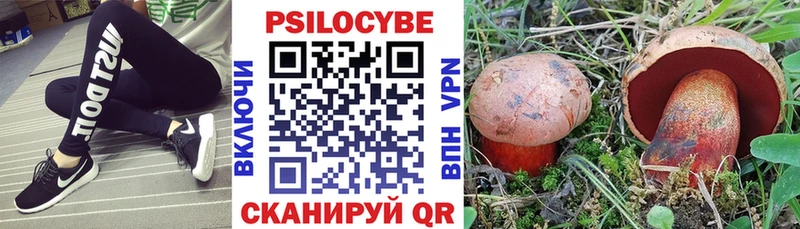 Псилоцибиновые грибы GOLDEN TEACHER  как найти наркотики  Николаевск 